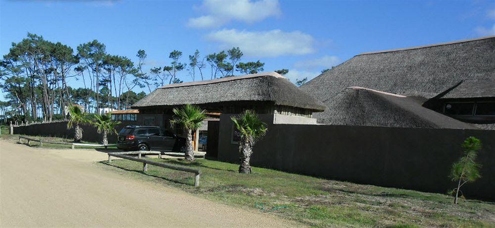 Punta Del Este Arenas Hotel Chihuahua Eksteriør bilde